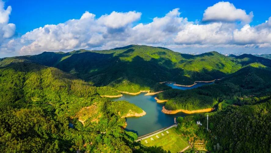 亲子徒步7人被困山腰，最小年仅6岁！东莞多方凌晨成功搜救